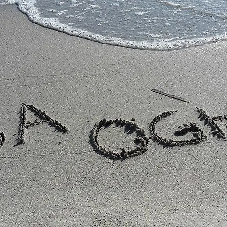 Sa Oghe Alghero